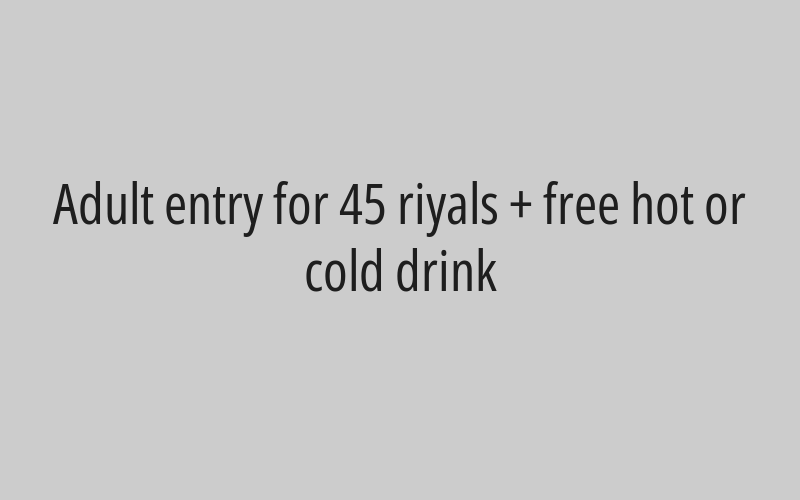 15-minute recreational ride for adults for 89 riyals