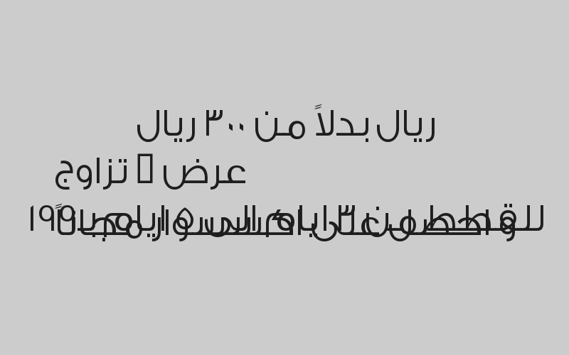 اشتري قطة واحصل على مستلزماتها مجاناً