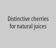 With every large gallon you get a free cocktail glass