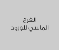 بالونات هيليوم 20 حبة بـ 120 ريال بدلاً من 140 ريال