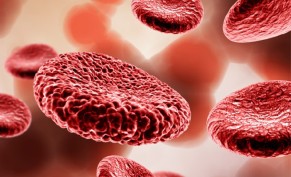 صورة دم كاملة