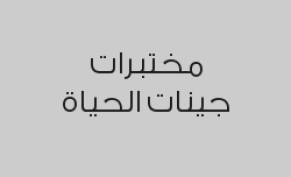 باقة الخصم الذهبي 1