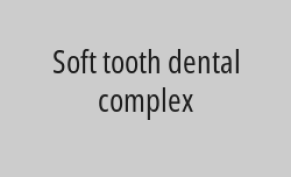 15% discount on frontal root canal treatment