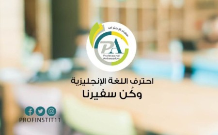 معهد سفراء الاحتراف