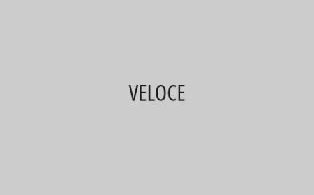 VELOCE