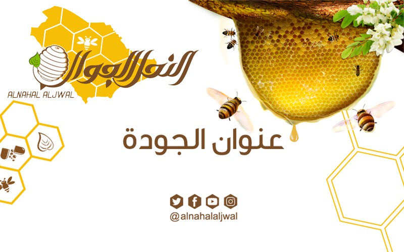 15% discount on total bill