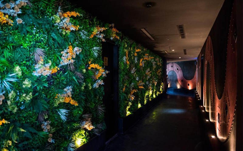 لايون لوكيشن