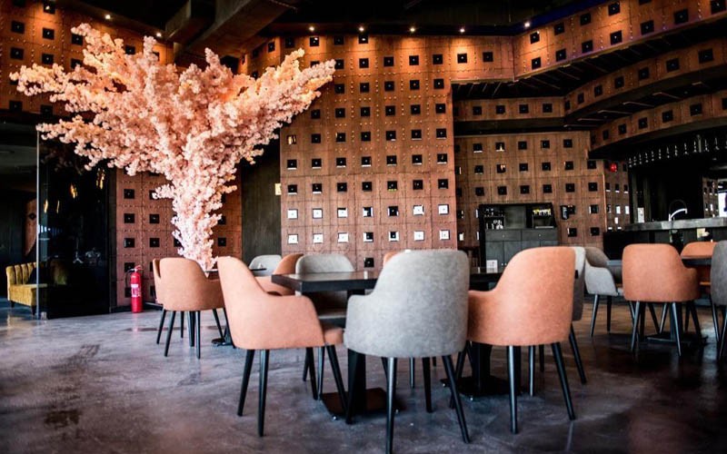 لايون لوكيشن